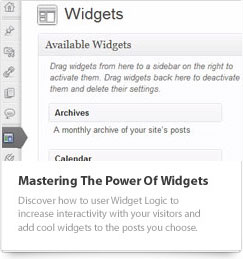 WordPress Widgets Video