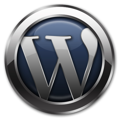 Jon Rognerud WordPress Website Steps