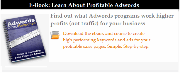 profitable adwords training course download